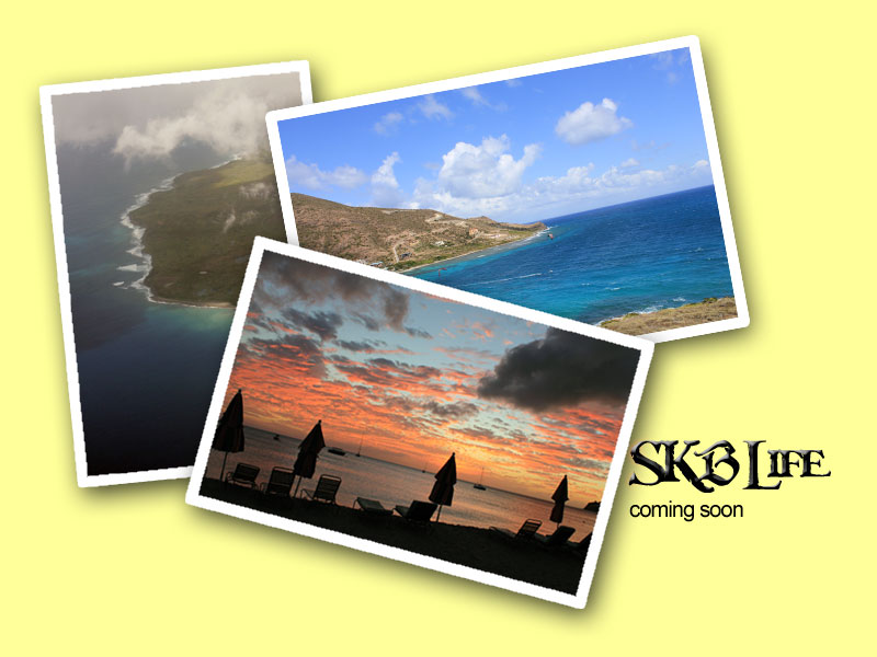 Welcome to skblife.com!